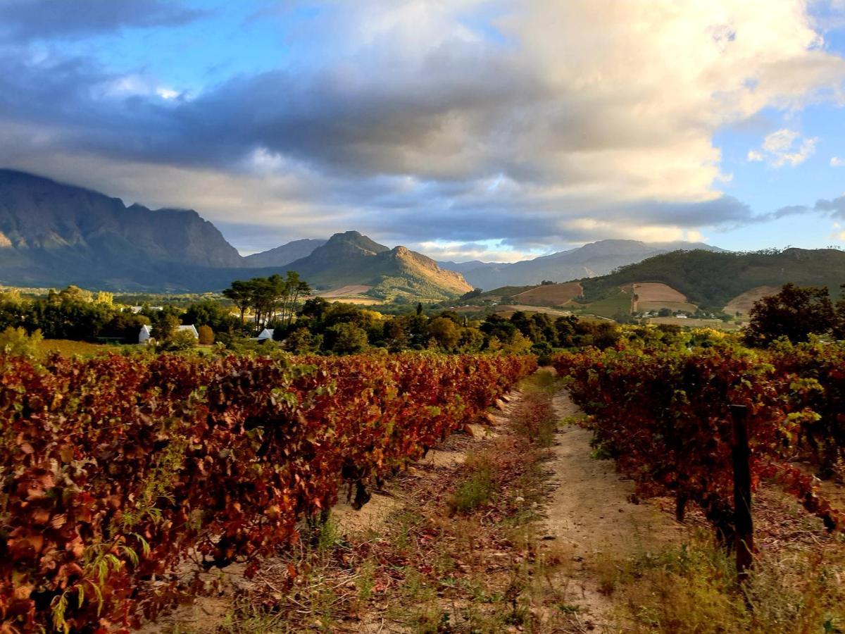 Sunny Lane Apartamento Franschhoek Exterior foto